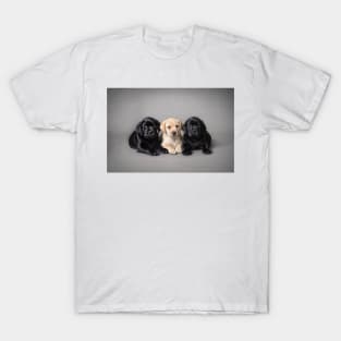 Labrador retriever puppies T-Shirt